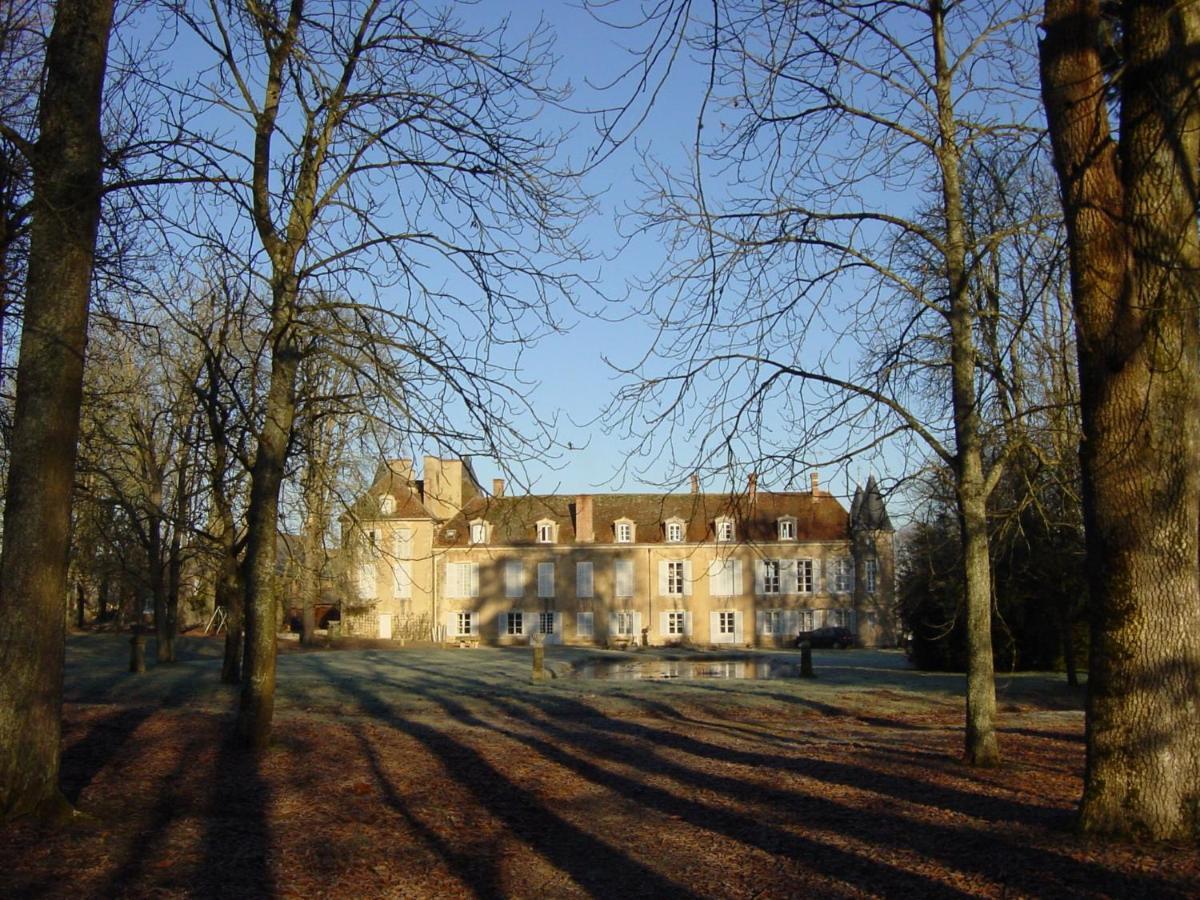 Chateau D'Island Vezelay Pontaubert Exteriör bild