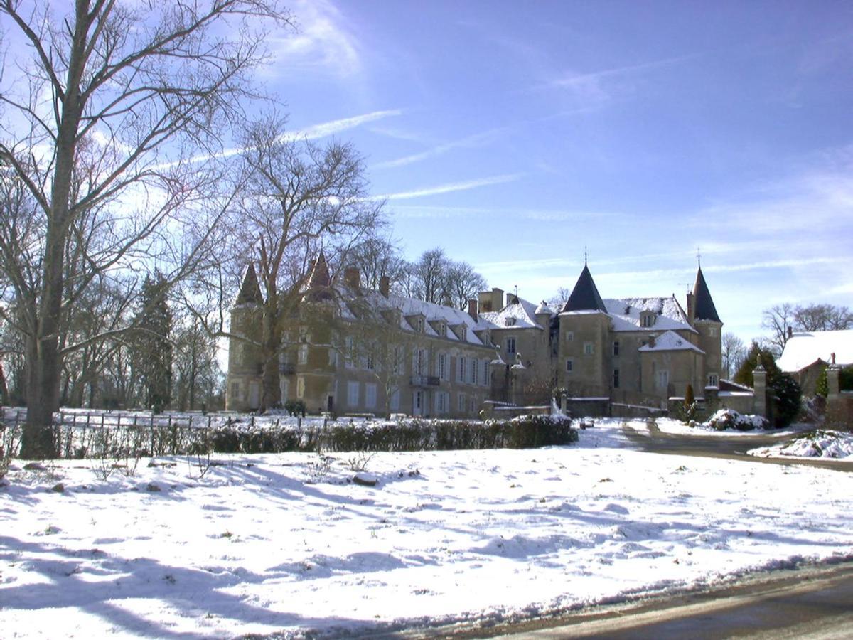 Chateau D'Island Vezelay Pontaubert Exteriör bild